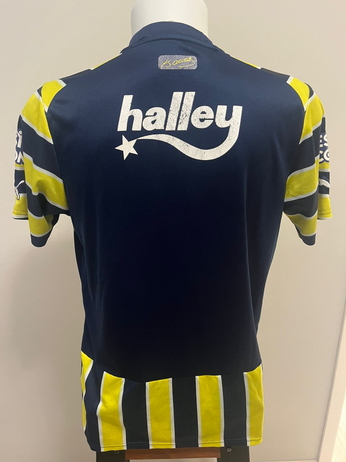 Fenerbahçe 2022/33
