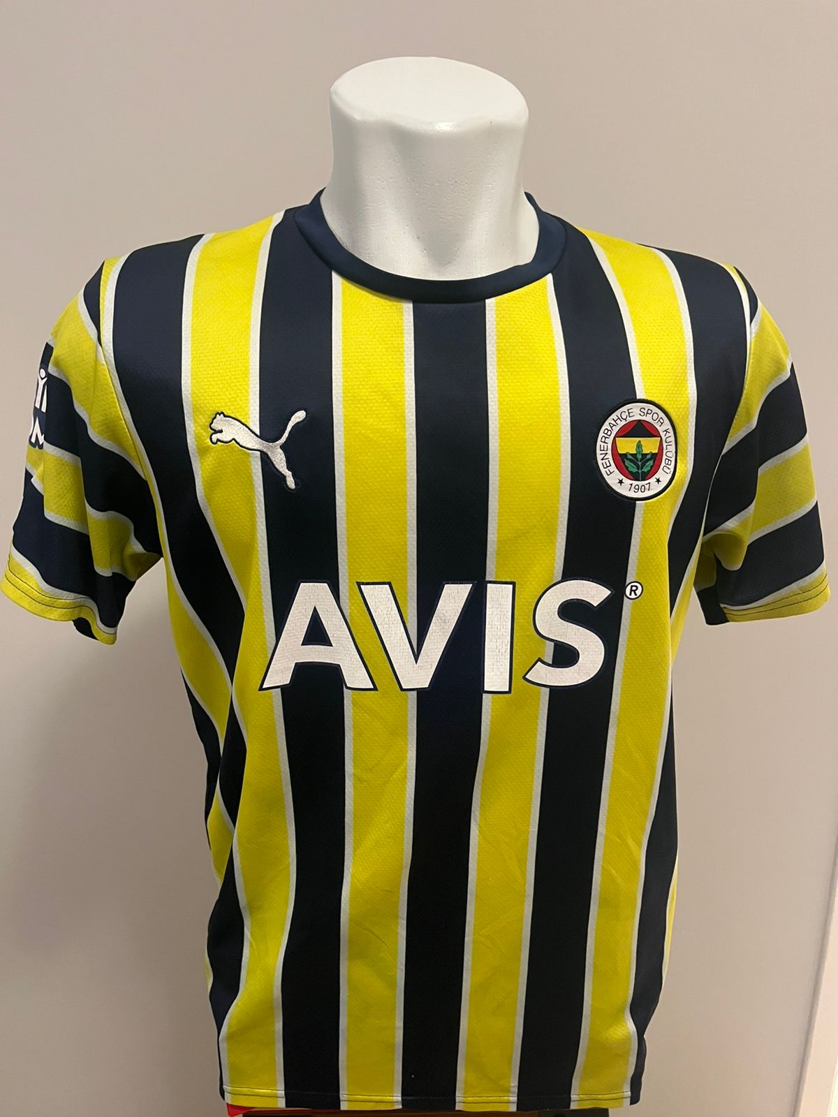 Fenerbahçe 2022/33